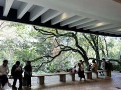 -香港大学