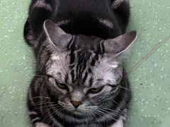 -藦茜花园宠物主题亲子互动体验馆(国顺东路店)