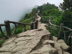 -梧桐山风景名胜区