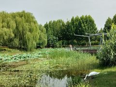 -北龙湖湿地公园