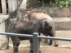 -深圳野生动物园