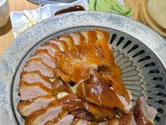 -守柴炉烤鸭(科华中路王府井店)