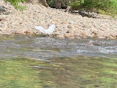 -九曲溪竹筏码头