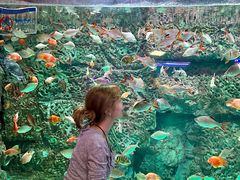 -威海华夏城景区