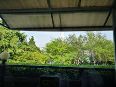 -向日葵咖啡