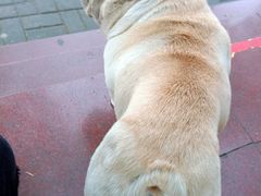 -陈记栗子(长宁路店)