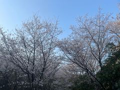 -金陵矩阵(聚宝山公园店)