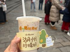 -猫的魔法密林(衣裳街店)