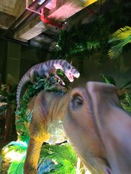 -恐龙探索乐园(磁器口店)