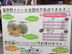 -富田农场