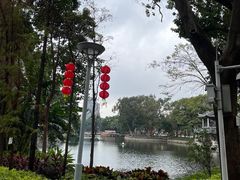 -荔湾湖公园