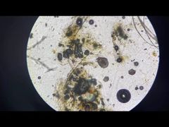 -拜鲁耶动物诊疗中心·宠家动物医院