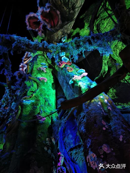 奥兰多迪士尼动物王国乐园图片