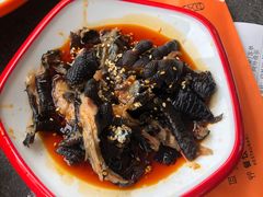 -向外鱼乐·土菜·虹鳟鱼