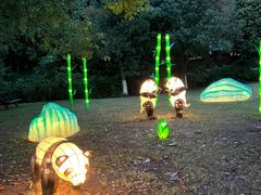 -白马涧龙池景区
