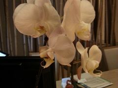 -南阳建业森林半岛假日酒店