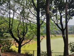 -广州市白云山风景名胜区