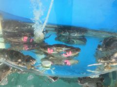 -沿海渔家院海鲜烧烤·东北菜(东戴河店)