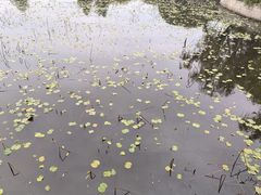 -阳澄湖半岛旅游度假区