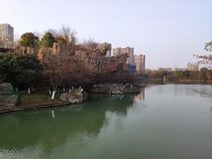 -青枫公园