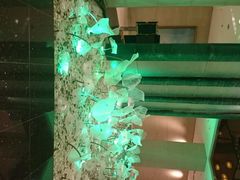 android_upload_pic-成都世纪城假日酒店-西楼