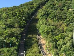 -梧桐山风景名胜区