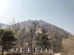 -北京鹫峰国家森林公园
