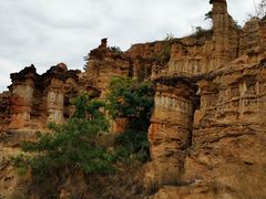 -元谋土林景区(物茂土林)