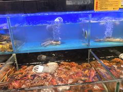 -苏格里岛自助烤肉海鲜火锅(成都金牛万达店)