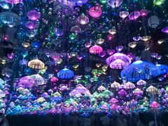 -梵高星空艺术馆(北京旗舰店)