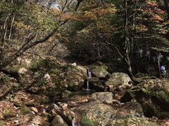 -五女峰国家森林公园