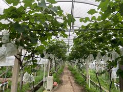 -美家乐农庄·露营·团建(大治路店)