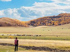 -塞罕坝国家级自然保护区
