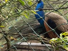 -梦幻奥陶纪景区