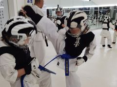 -极真空手道修远道场