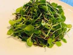 香椿苗豆腐丝-禧宴Joyous Restaurant(禧园店)