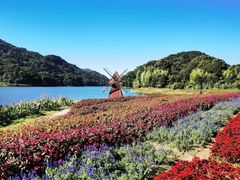 -广州市石门国家森林公园