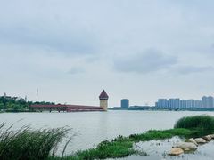 -九龙湖公园