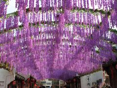 -婺源梦里老家大型山水实景演出