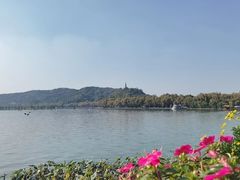 -湖畔居茶楼(湖滨店)