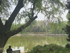 -团结湖公园