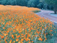 -大宁灵石公园西门票处