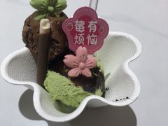 -阿露佳·舌尖上的安吉菜