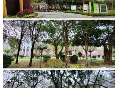 -文华公园(禅城区)