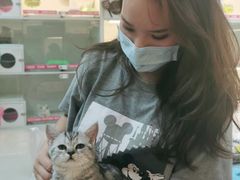 -lincat·猫舍(广州店)