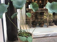 -黎阳老街