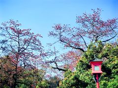 -广州中山纪念堂