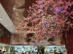 -卡拉卡拉漫温泉汗蒸