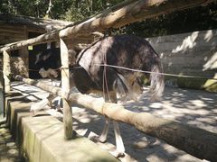 -燕塞湖鸟语林景区