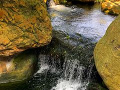 -上海浦东星河湾酒店